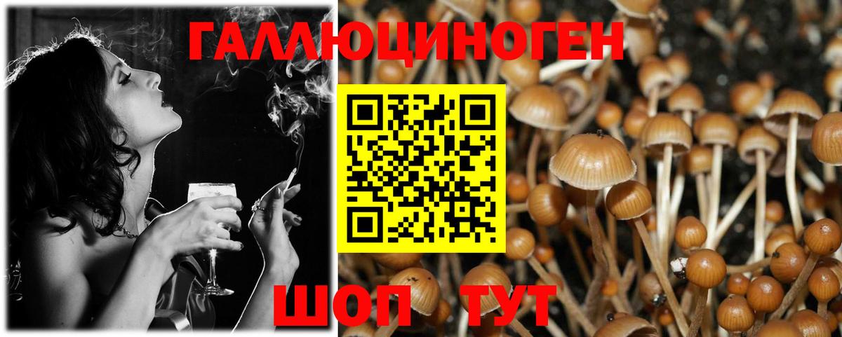 Медногорск  Псилоцибиновые грибы MAGIC MUSHROOMS  Вход с VPN 