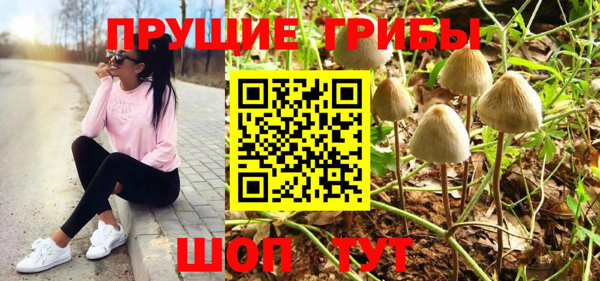 Галлюциногенные грибы мухоморы Медногорск